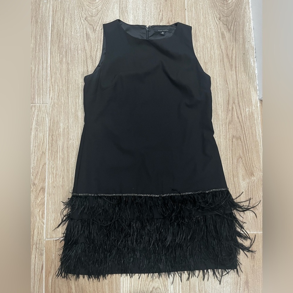 Alex Marie Black Feather & Rhinestone Dress - Picture 3 of 6